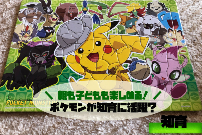 ポケモンが知育に役立つ 幼児から小学生まで人気の最強コンテンツ サガコソ 佐賀でこっそりと子育て